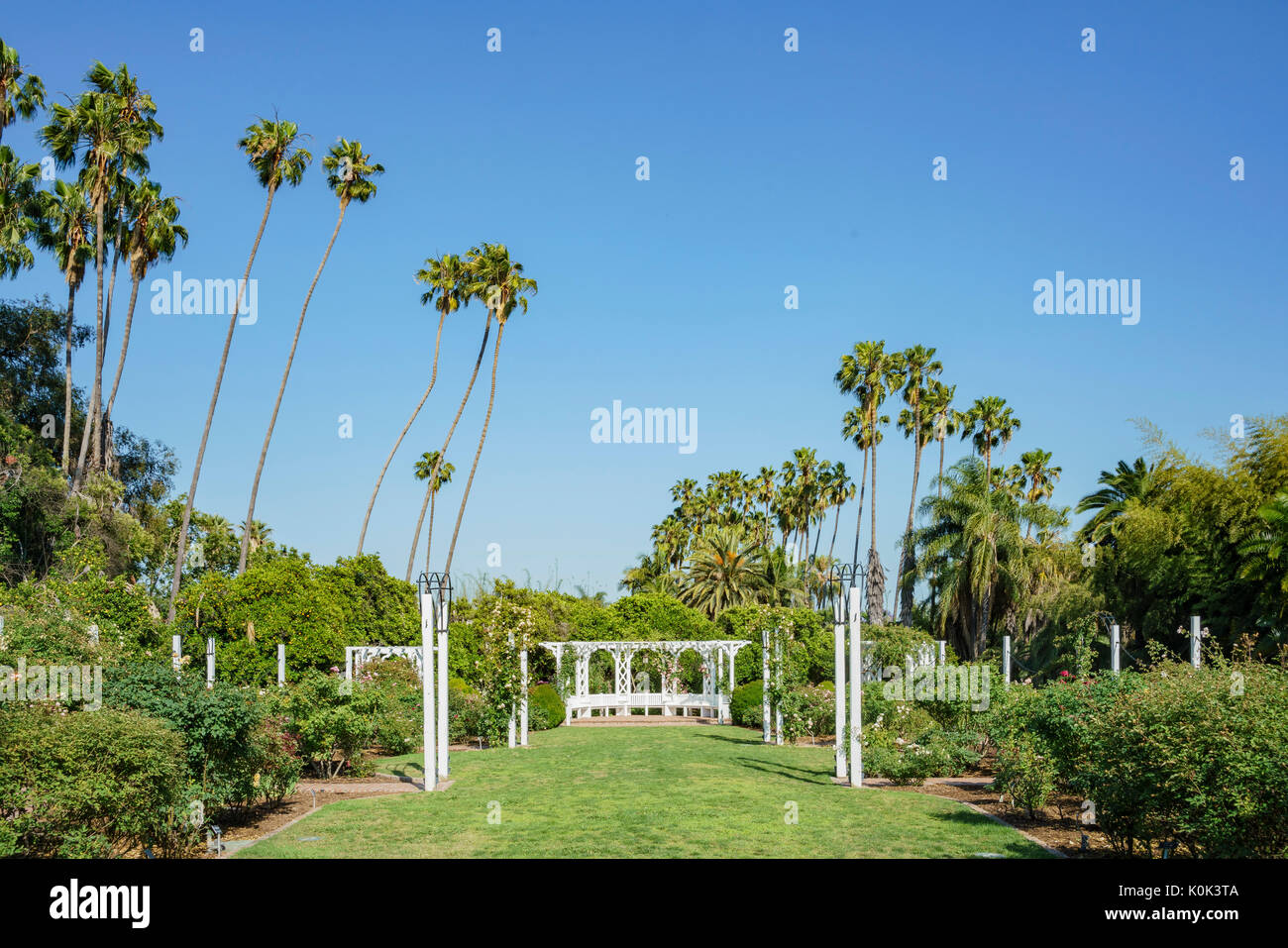 Die Wunderschonen Rosengarten Im Los Angeles County Arboretum