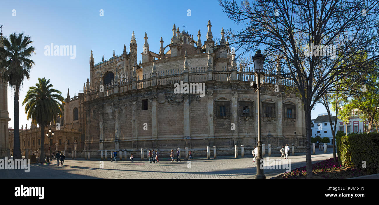 Spanien: Palmen und die Kathedrale der Heiligen Maria des sehen, die Kathedrale von Sevilla, der ehemaligen Moschee als katholische Kirche im Jahre 1507 geweihten Stockfoto