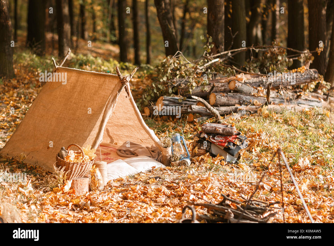 Alte Hütte in den Wald, Heimat für Abenteuer und Reisen Stockfoto