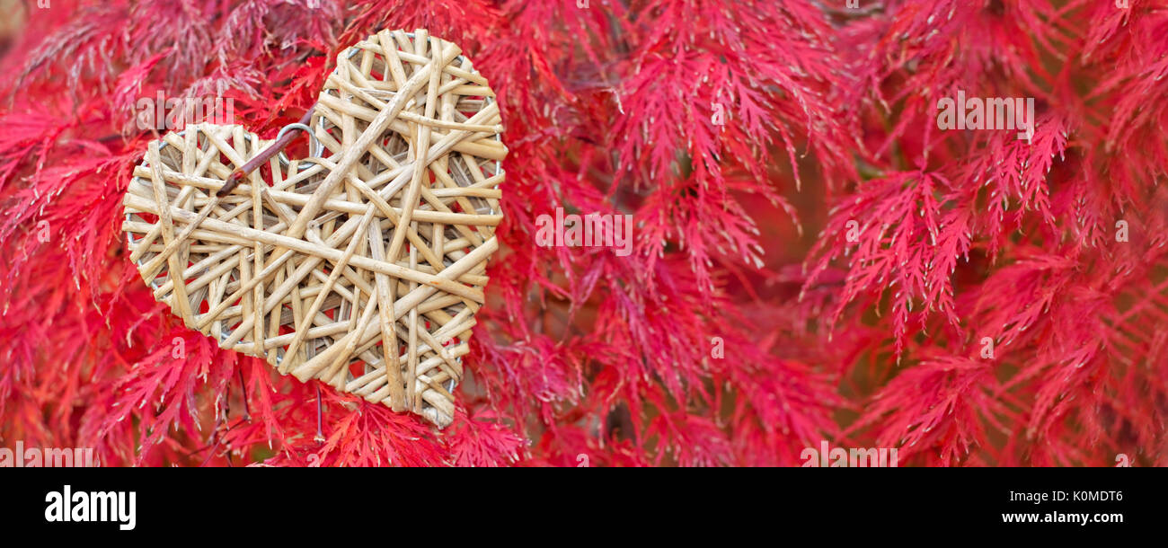 Holz- Herz auf rot Ahorn Blätter Hintergrund Stockfoto