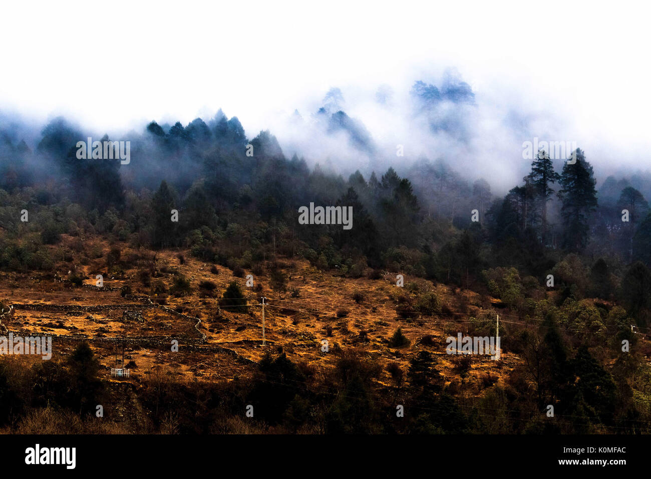 Nebligen Berge von Lachung, Sikkim, Indien, Asien Stockfoto