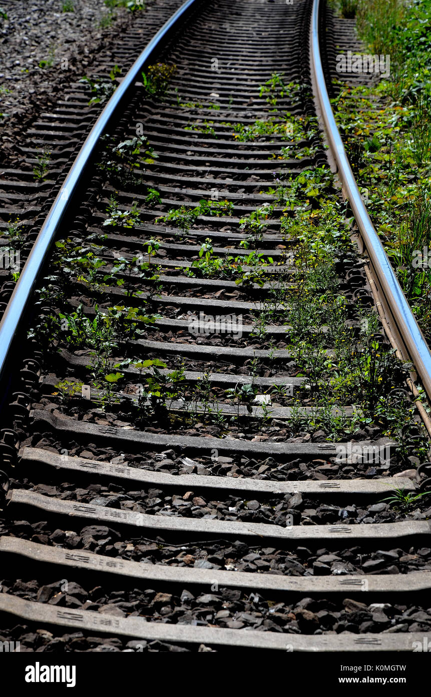 Zug Eisenbahn Stockfoto