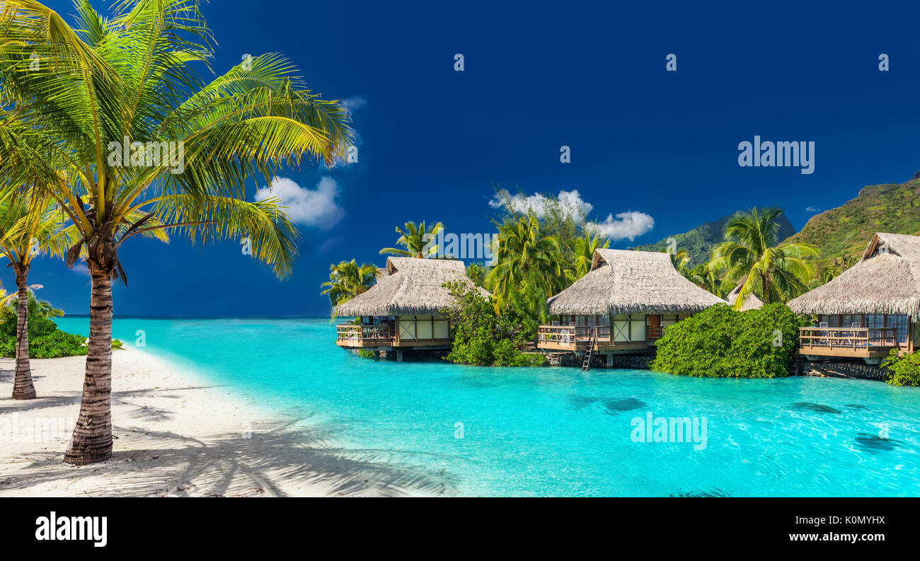 Perfekter Urlaub auf einer tropischen Insel mit Palmen und erstaunlich lebhafte Strand Stockfoto