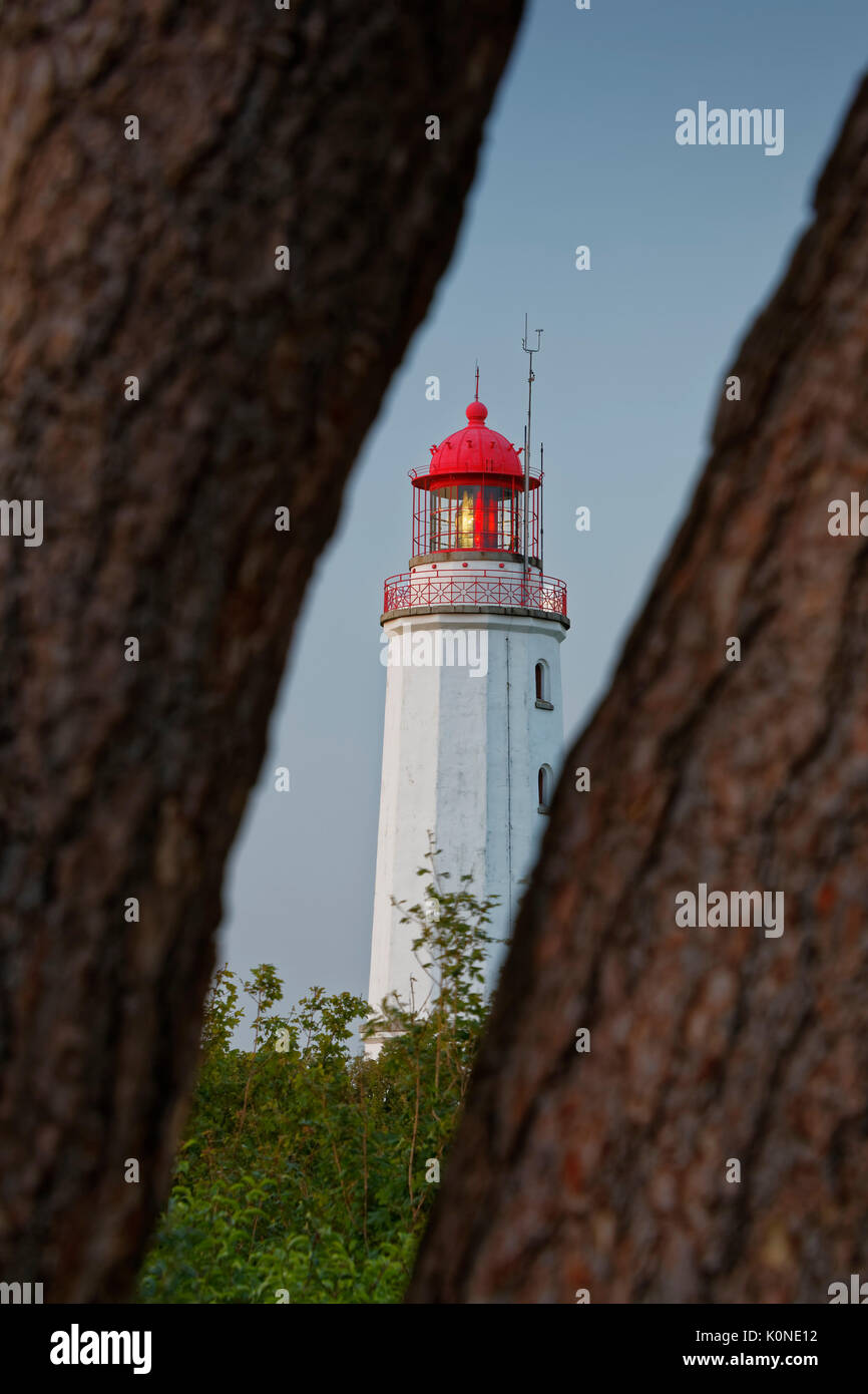 Deutschland, Mecklenburg - Vorpommern, Hiddensee, dornbusch Leuchtturm auf dem schluckswiek Stockfoto