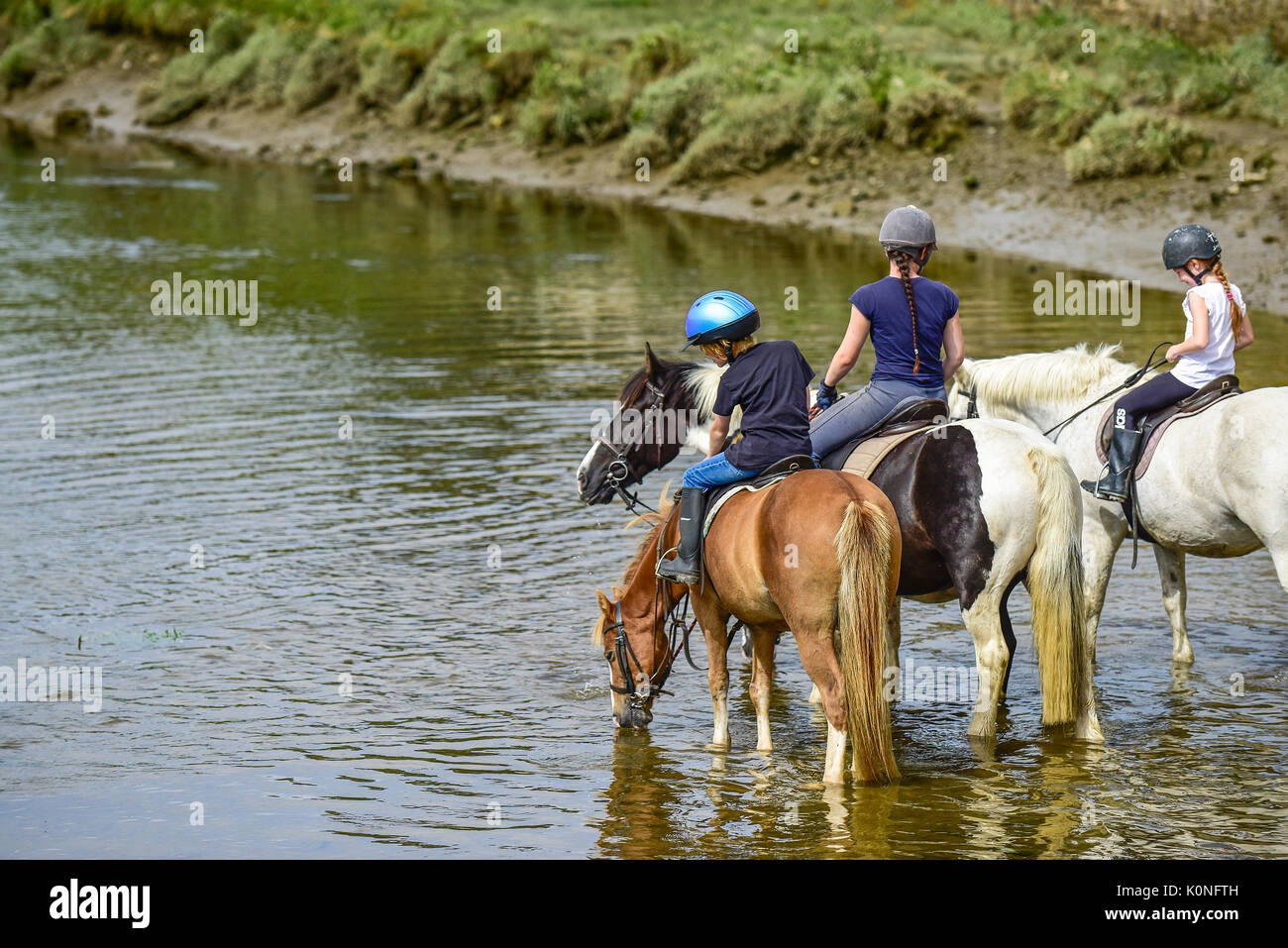 Pony Trekking entlang den Fluss Gannel und Gezeiten- Mündung in Newquay in Cornwall. Stockfoto