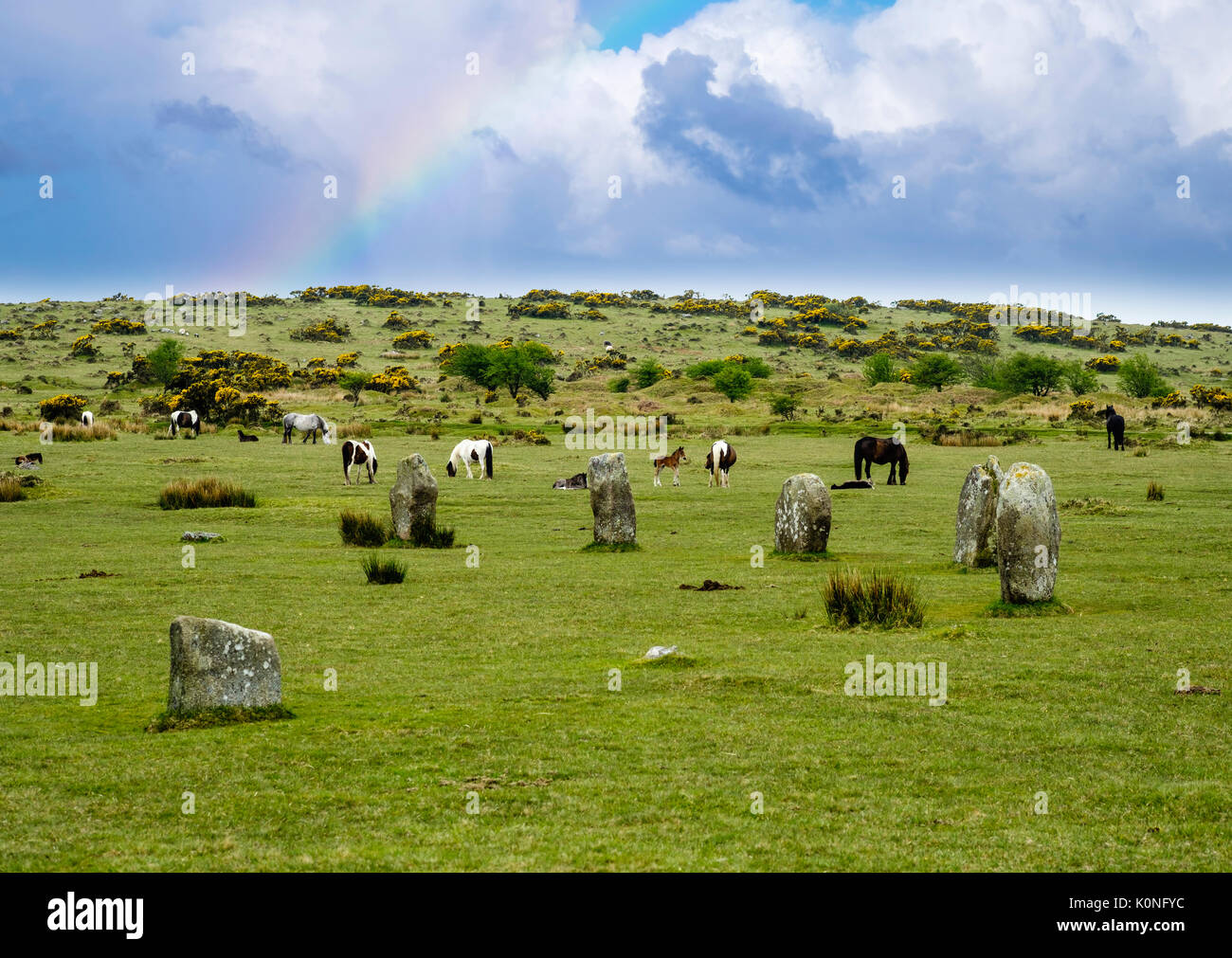 Megalithen, die Schleuderer aus Bronzezeit Steinkreis, Ponys, Bodmin Moor, Cornwall, England, Großbritannien Stockfoto