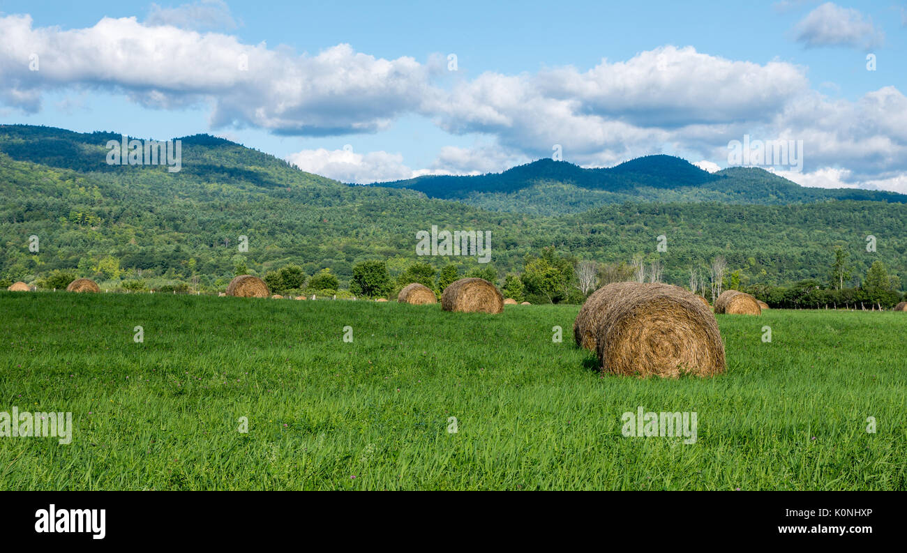 Runde Strohballen auf einem Feld mit den Adirondack Mountains im Hintergrund und blauen Himmel mit einigen Wolken Stockfoto