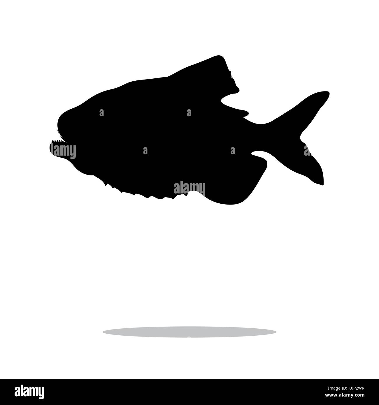 Piranha fischen schwarze Silhouette Aquatic Animal. Vektor Illustrator. Stock Vektor