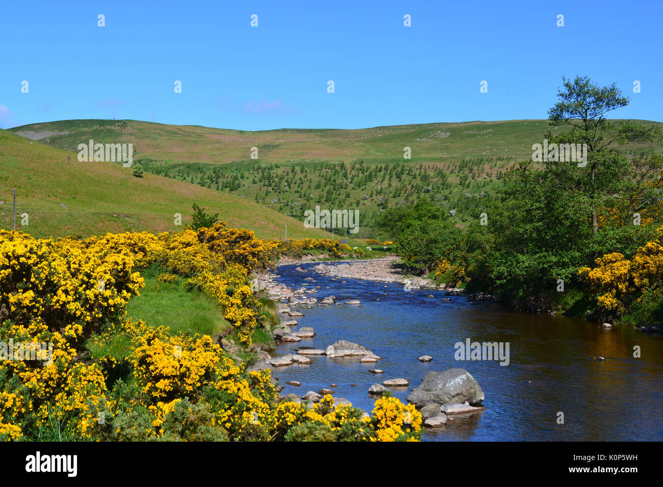Breamish Fluss, Ingram Tal Northumberland Stockfoto
