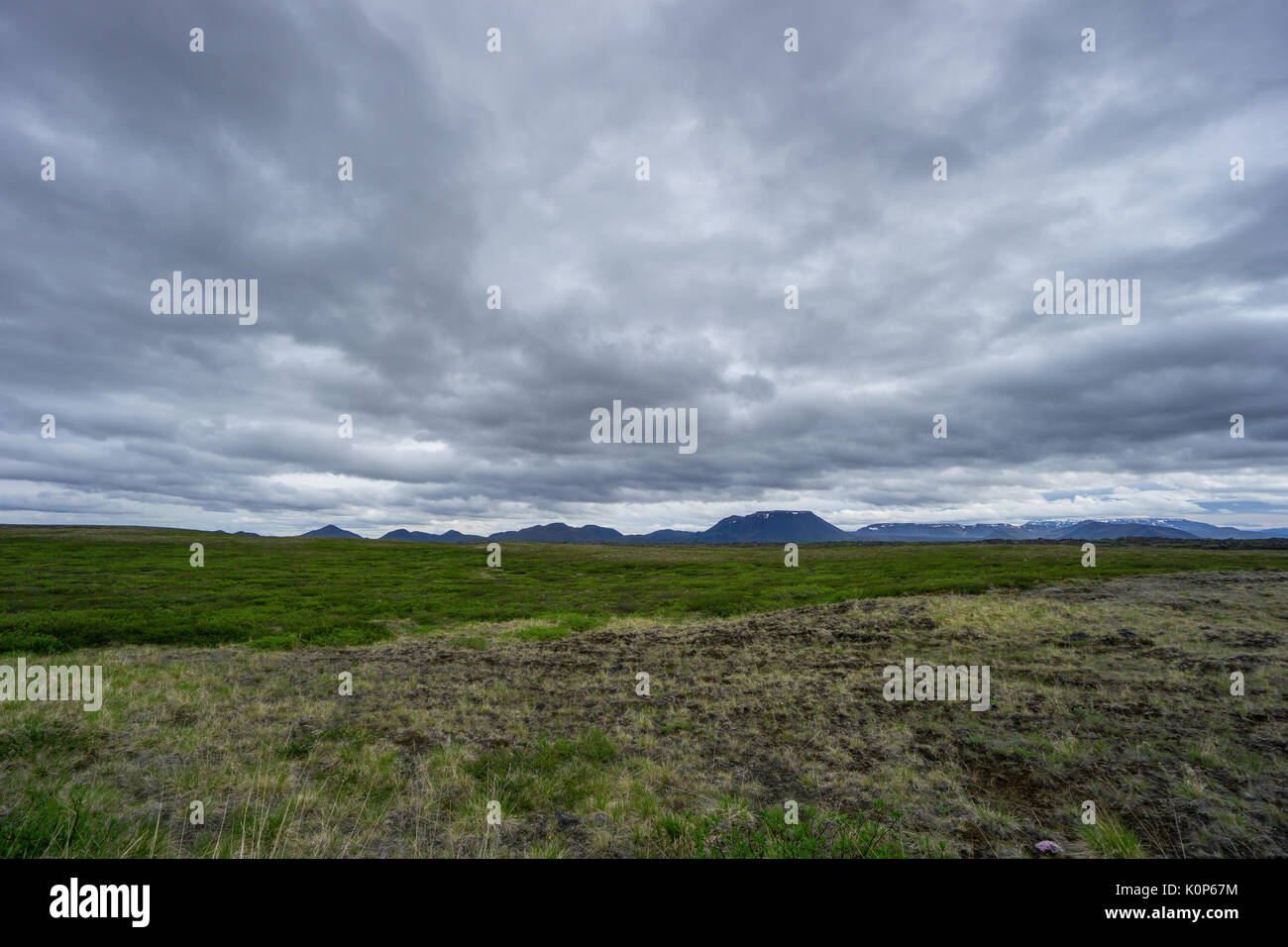 Island - bewölkter Himmel über intensiv grünen Wiesen und schneebedeckten Bergen Stockfoto