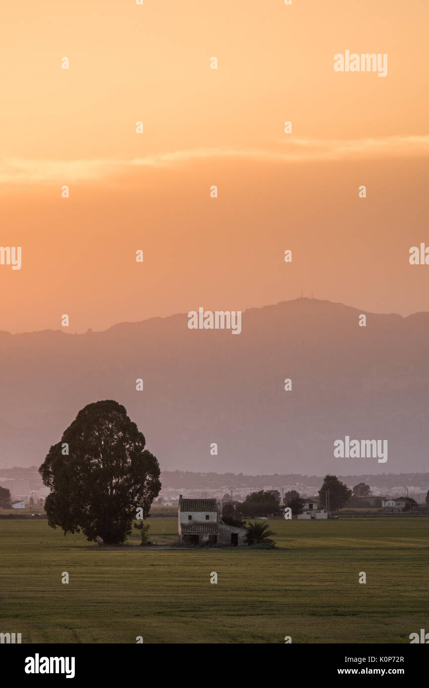 Sonnenaufgang Delta de l'Ebre Stockfoto