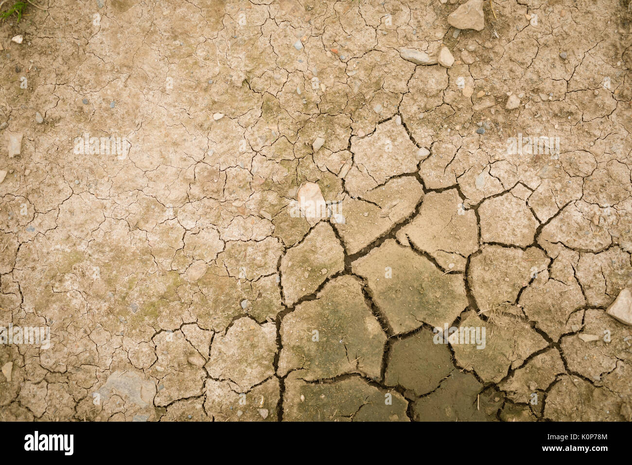 Close-up Land mit trockener und rissiger Boden Stockfoto