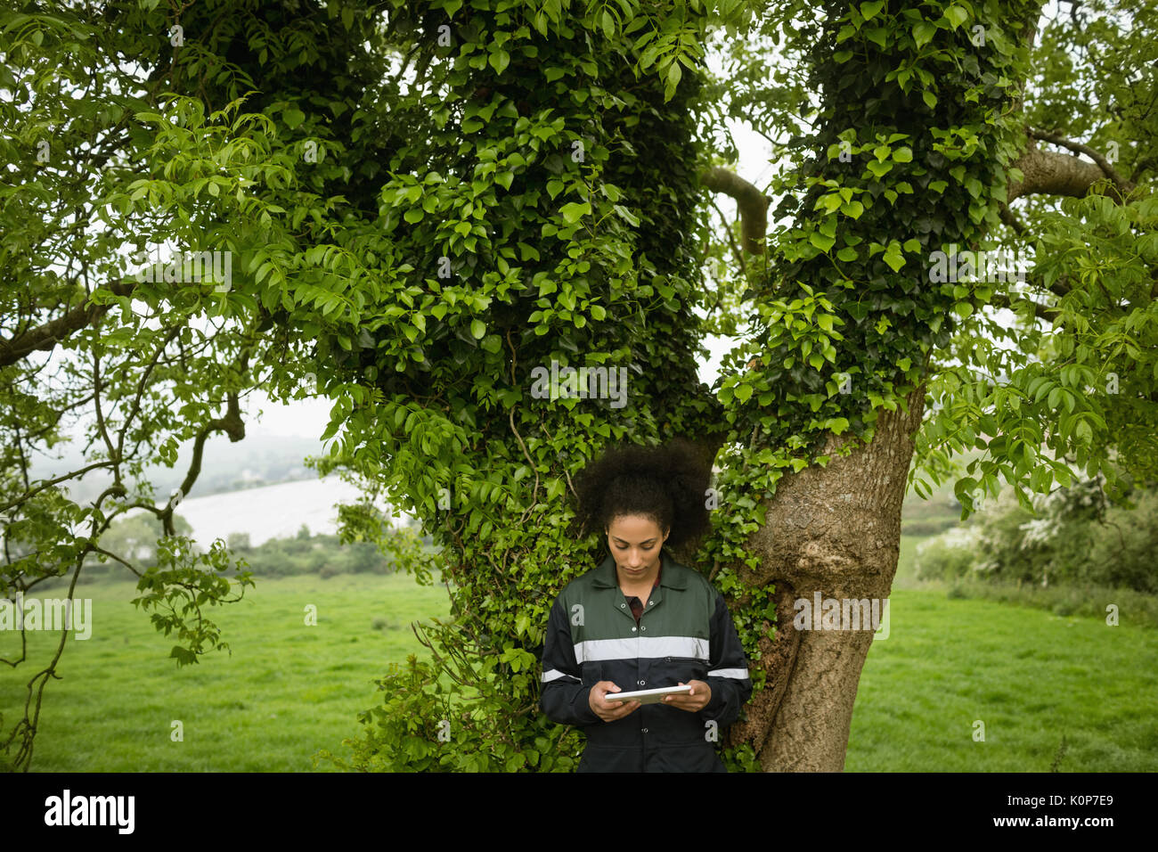 Frau Bauer mit digitalen Tablette im Feld Stockfoto