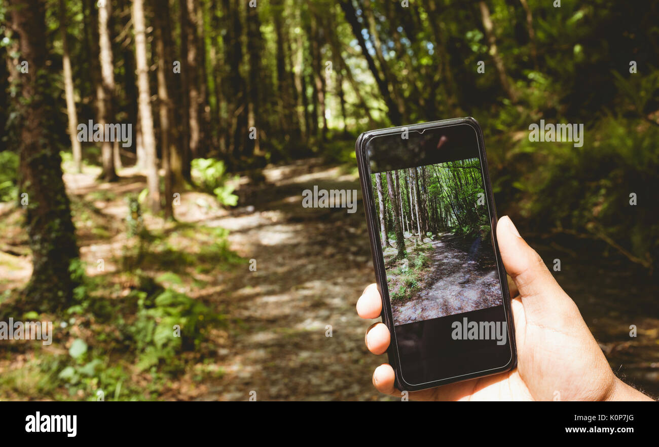 7/8 Hand auf Mann fotografieren Bäume im Wald Stockfoto