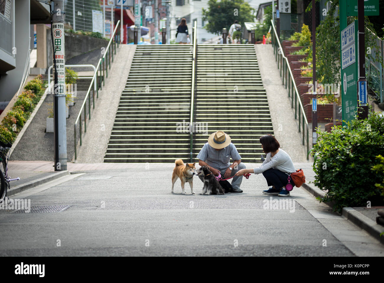Mann und Frau gehen morgens mit ihrem Hund spazieren, mit langen Stufen im Hintergrund Stockfoto