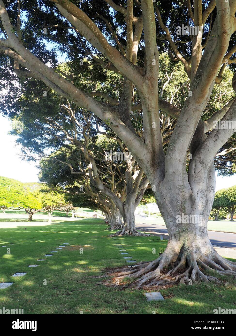 Der Nationalen Gedenkstätte Friedhof der Pazifischen Honolulu, Hawaii Stockfoto