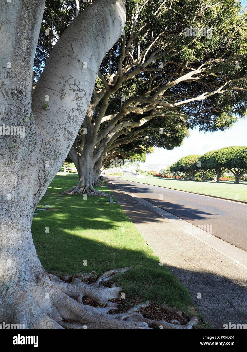 Der Nationalen Gedenkstätte Friedhof der Pazifischen Honolulu, Hawaii Stockfoto