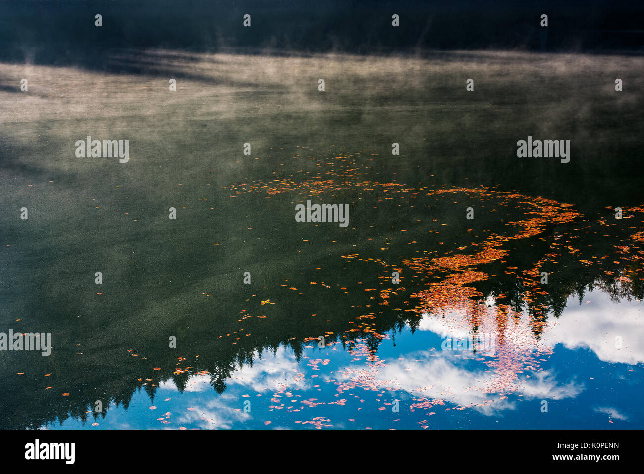 Wunderschöne Natur Hintergrund von Laub auf den nebligen Wasser reflektierende Oberfläche Fichtenwald Stockfoto