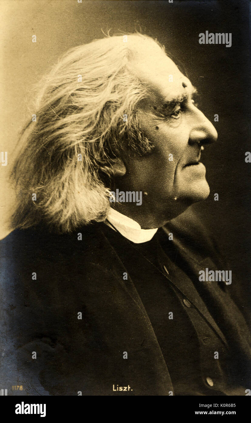 Franz Liszt, alt. Portrait - Profil. Ungarische Pianist und Komponist. 22. Oktober 1811 - vom 31. Juli 1886. Stockfoto