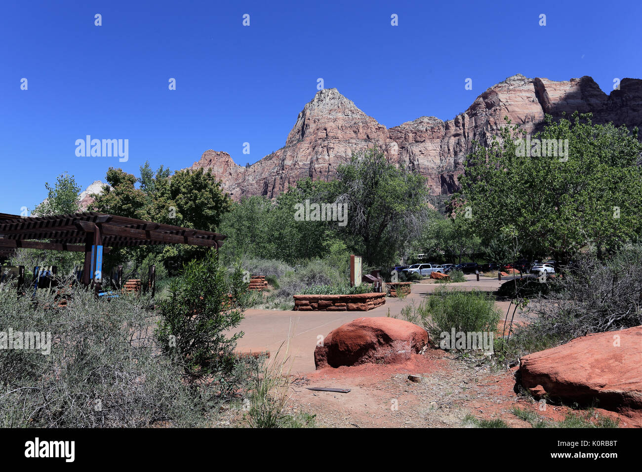 Zion National Park in Utah USA Stockfoto