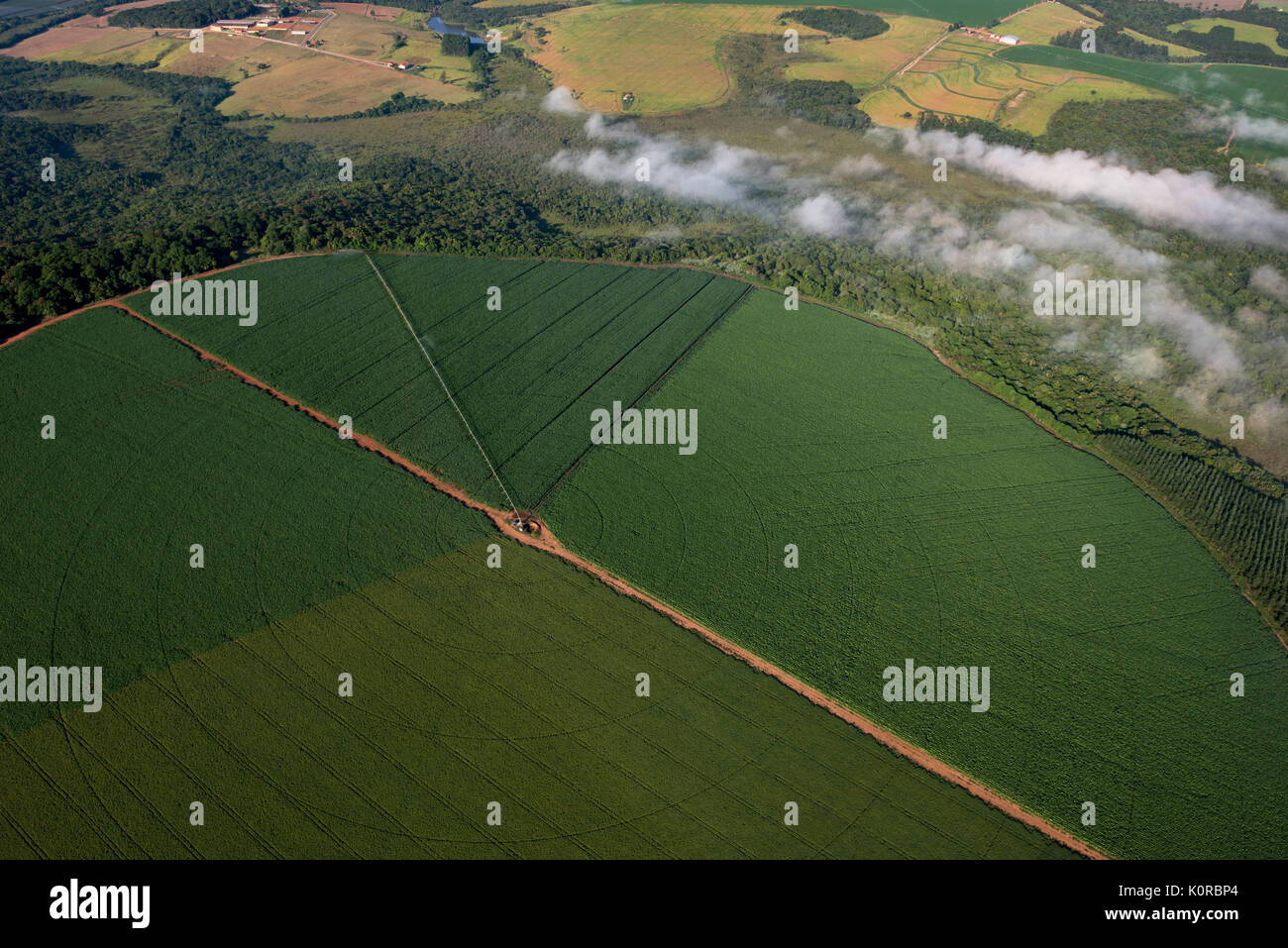 Drehmittelpunkt Bewässerung Kreis in SE Brasilien Stockfoto