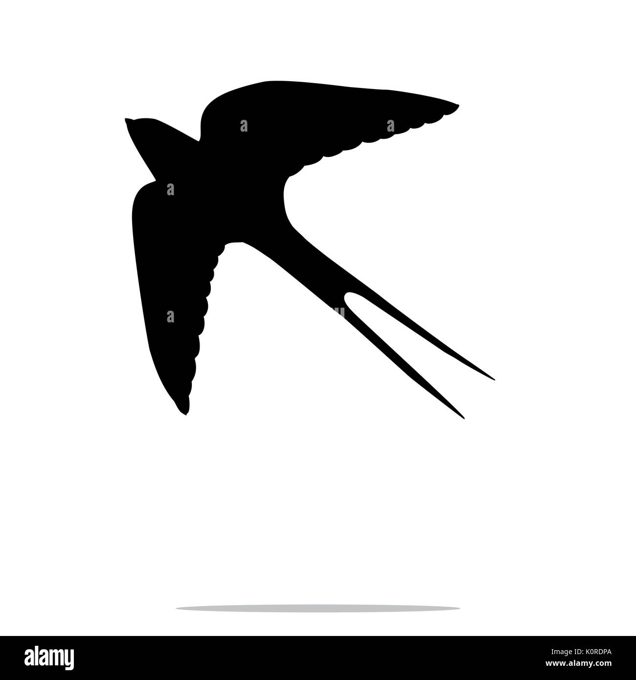 Schwalbe Vogel schwarze Silhouette Tier. Vektor Illustrator  Stock-Vektorgrafik - Alamy