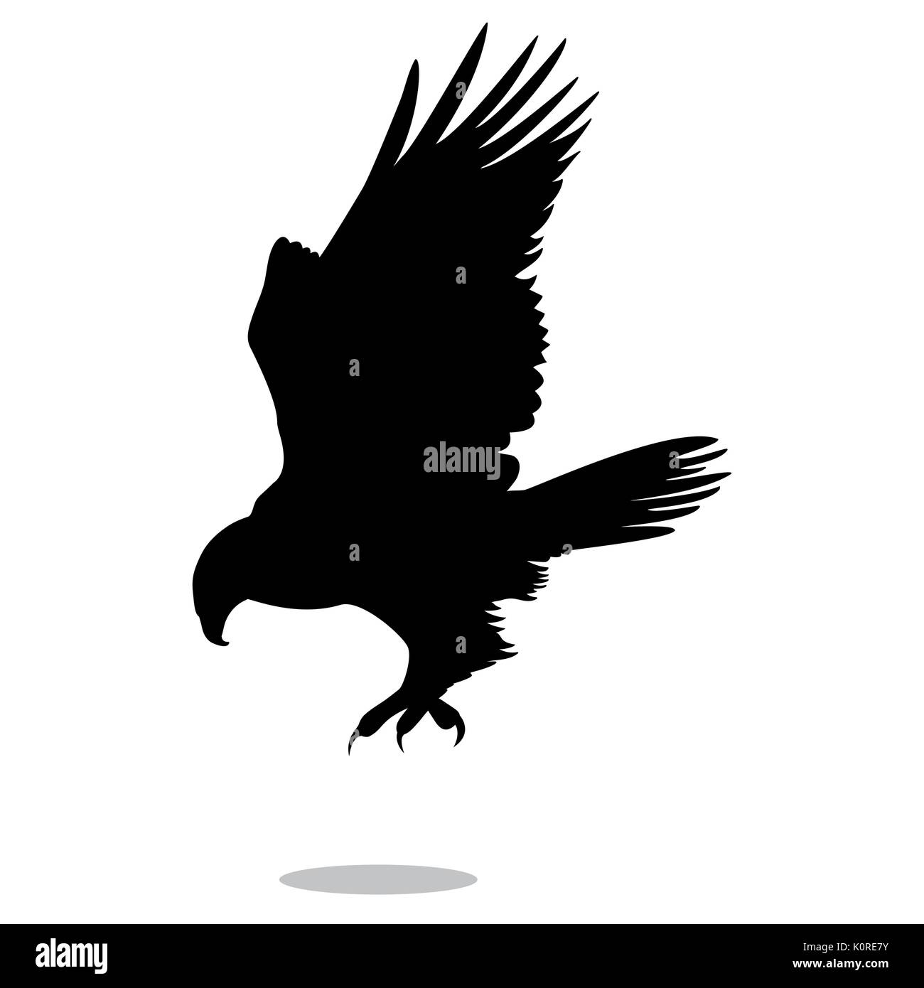 Hawk eagle Falcon bird schwarze Silhouette Tier. Vektor Illustrator. Stock Vektor