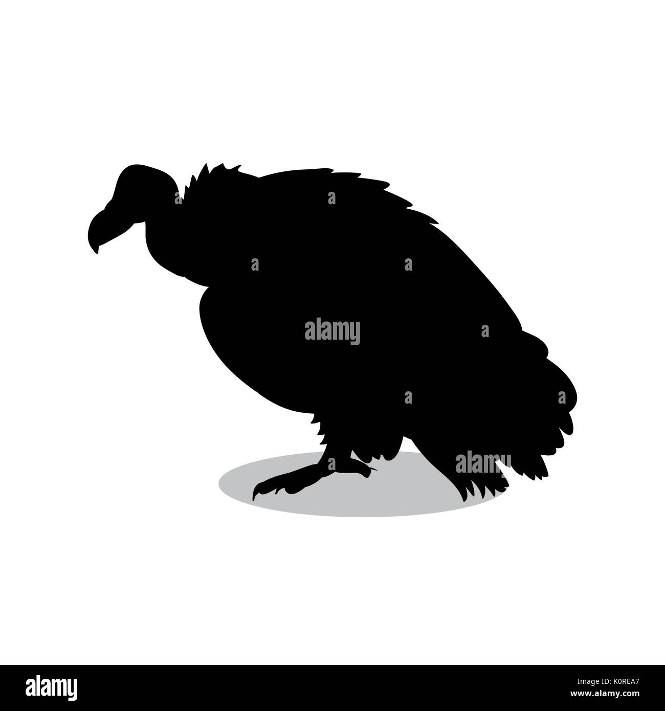 Geier Vogel schwarze Silhouette Tier. Vektor Illustrator. Stock Vektor