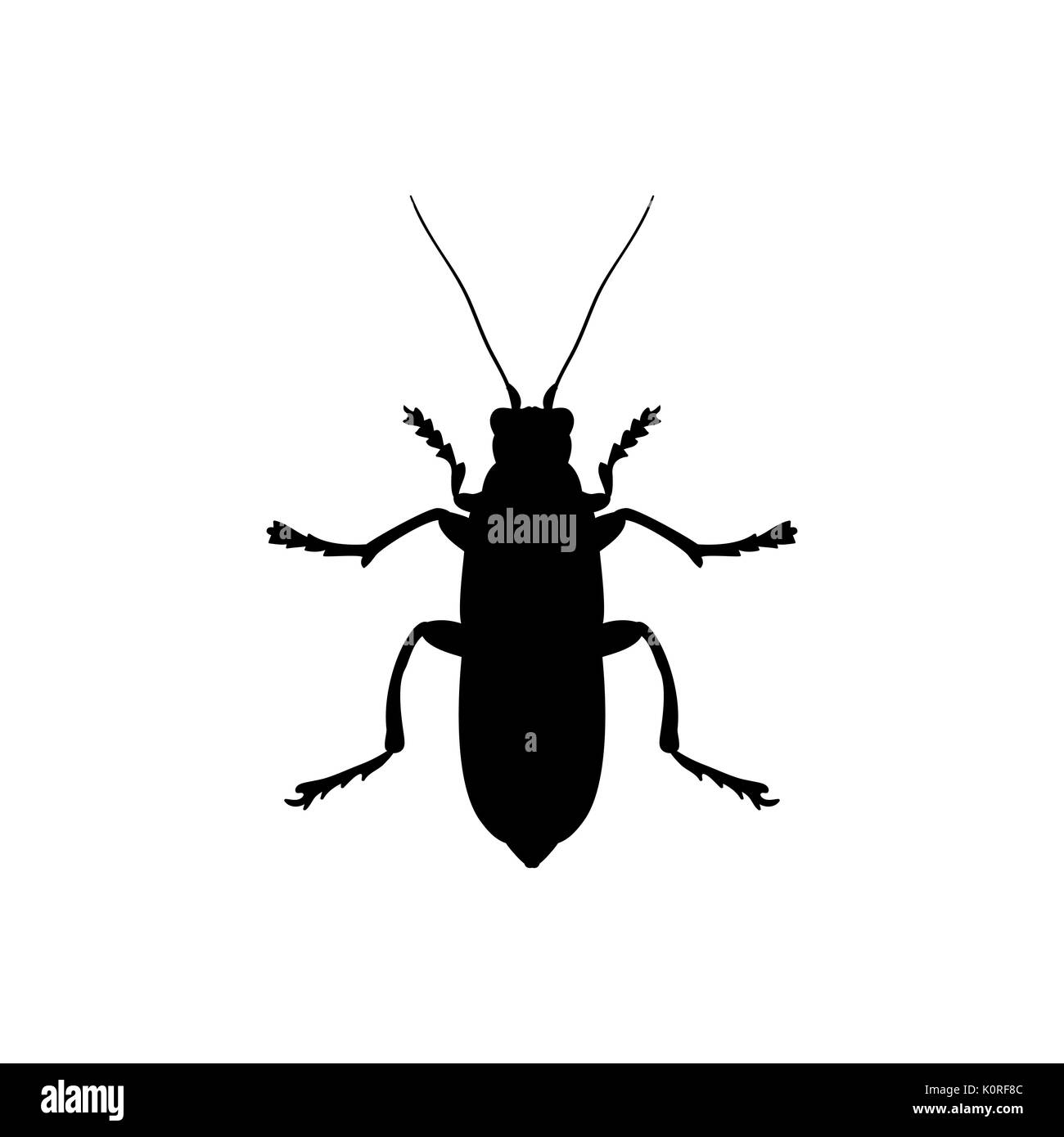 Käfer Insekt schwarze Silhouette Tier. Vektor Illustrator. Stock Vektor
