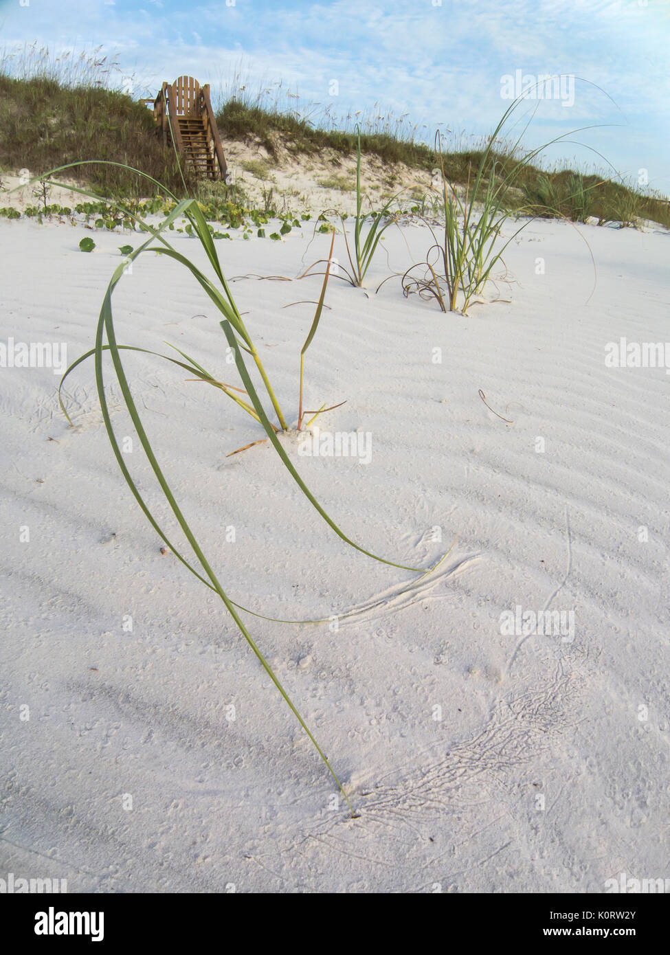 Einen privaten Zugang zum Strand Fußweg und weißen Strand Sand mit Vegetation Stockfoto