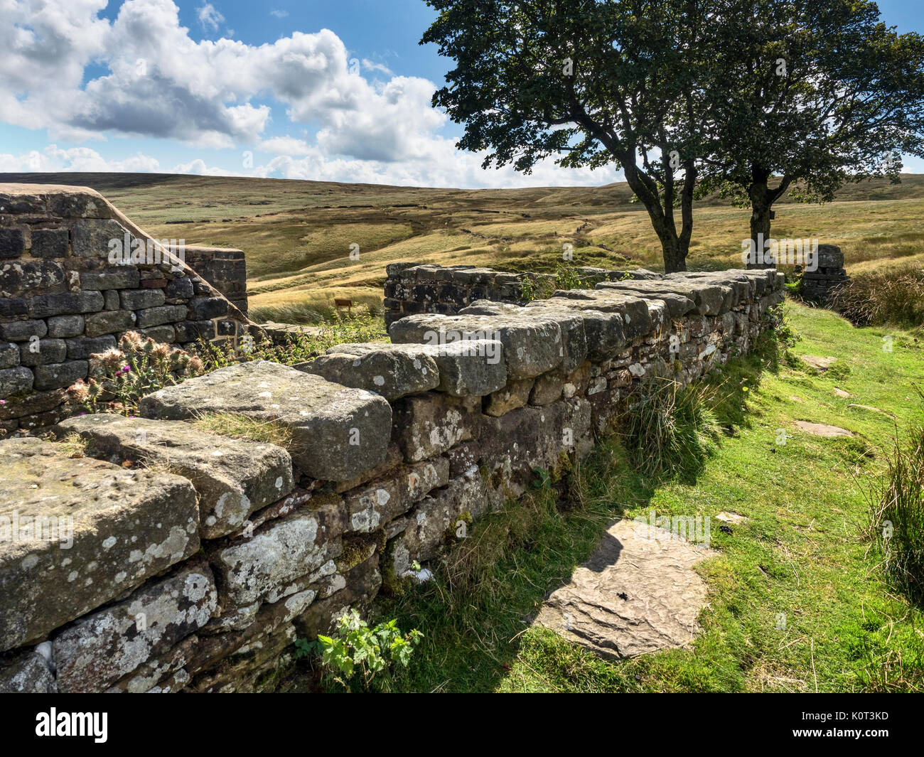 Die Ruinen der oberen Withins auf Haworth Moor im Sommer in der Nähe von Haworth West Yorkshire England Stockfoto