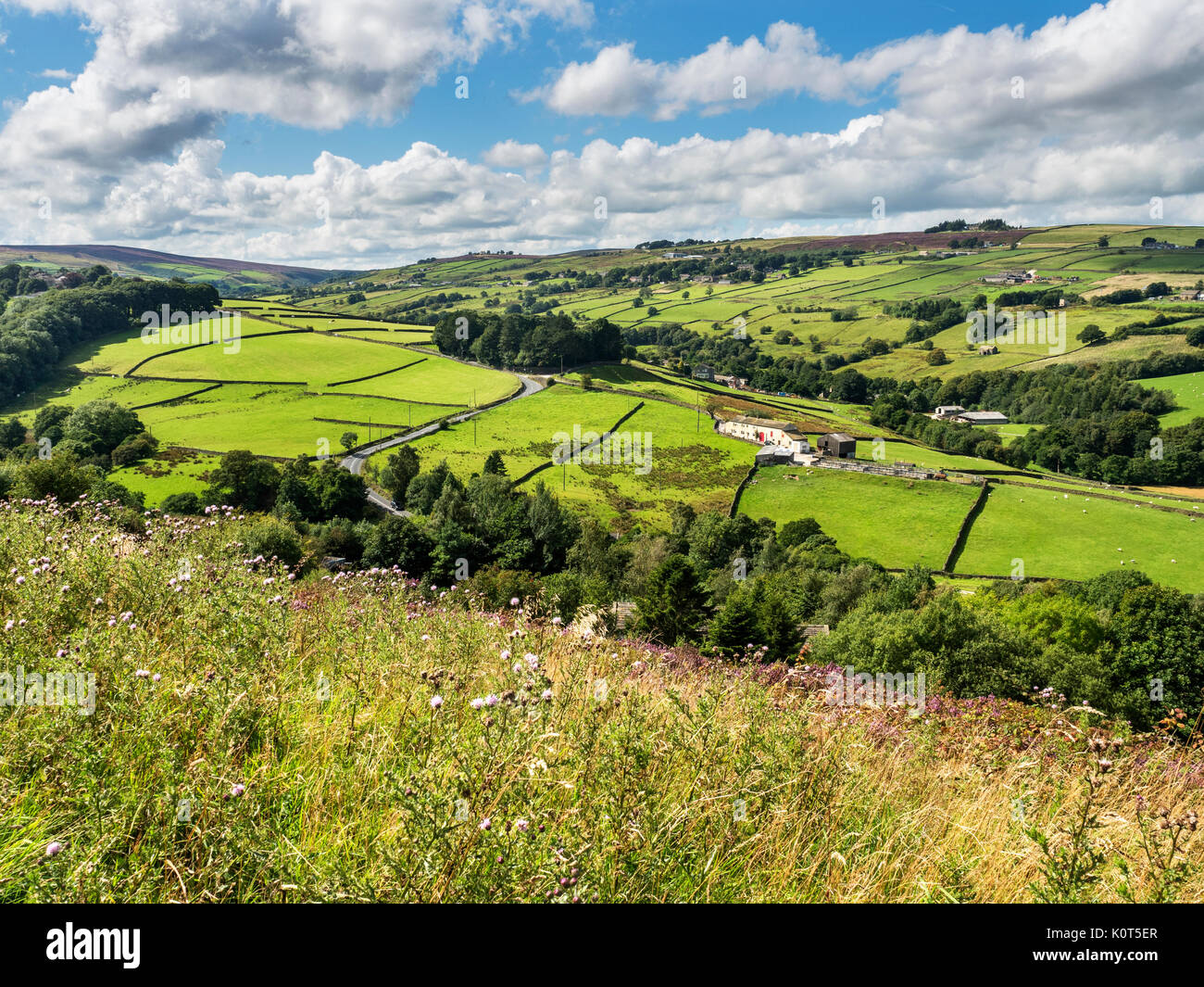 Blick über die sladen Tal in der Nähe von Haworth West Yorkshire England Stockfoto