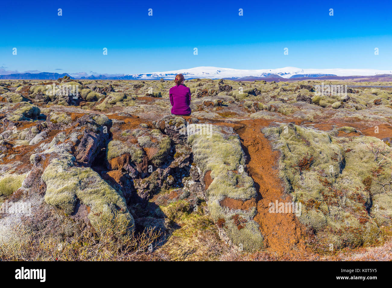 Ansicht der Rückseite des weiblichen Touristen auf Felsen mit Blick auf Landschaft an bemoosten Lavafeld in der Nähe von Vik, Island sitzen Stockfoto