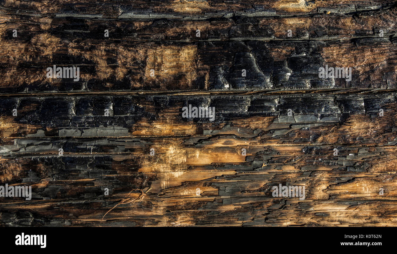 Asche von teilweise verbrannte Holz Brett durch Brand beschädigt Stockfoto