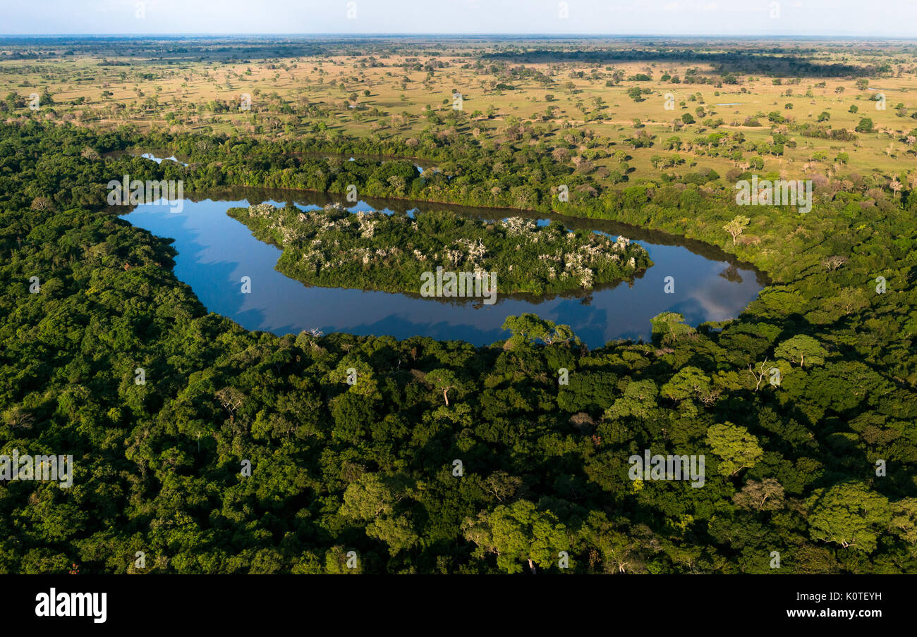 Eine Insel in einer Bucht im Pantanal, dient als für Wasservögel roost Stockfoto