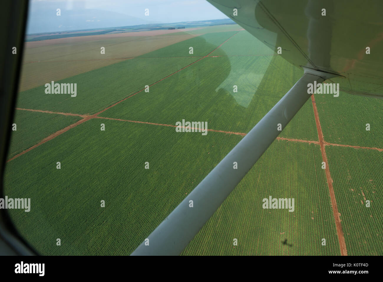 Riesige Zuckerrohrfelder vom Flugzeug Fenster gesehen in Goiás, Brasilien Stockfoto