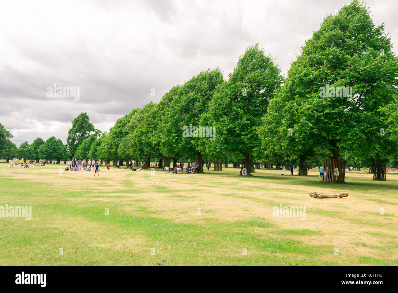 Richmond, London, UK - Juli 2017: die Menschen genießen den Sommer im Freien in Bushy Park, Richmond, London. Stockfoto