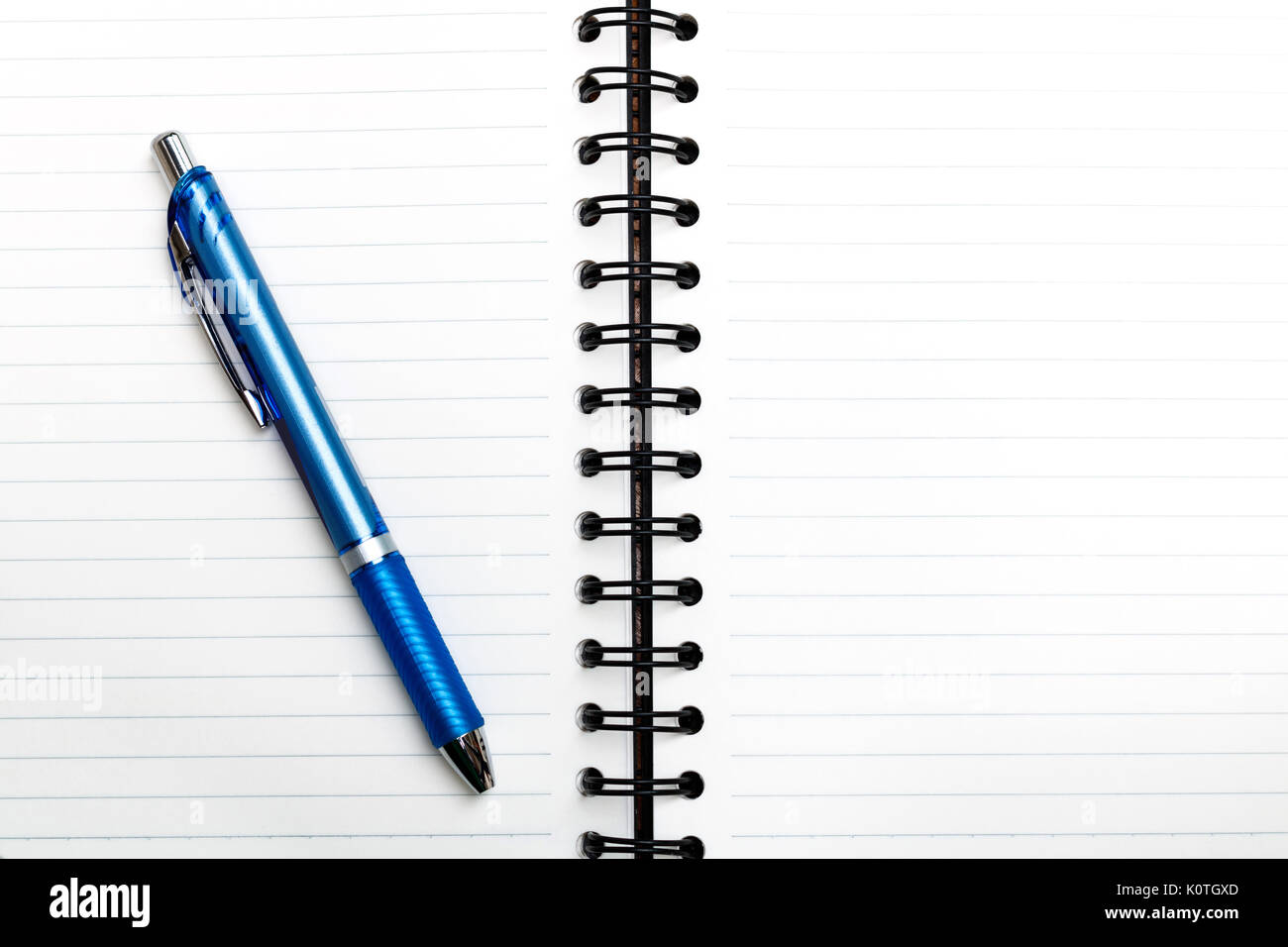 Leeres Notizbuch mit Stift, Business Konzept Stockfoto