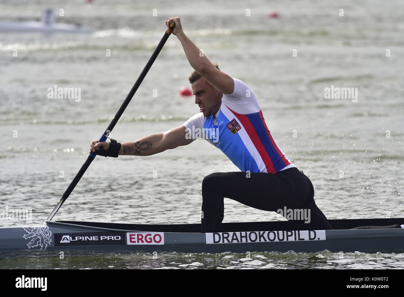 Racice, Tschechische Republik. 24 Aug, 2017. Tschechische Dan Drahokoupil in Aktion während der 2017 ICF Canoe Sprint Wm in Racice, Tschechische Republik, 24. August 2017. Foto: CTK/Alamy leben Nachrichten Stockfoto