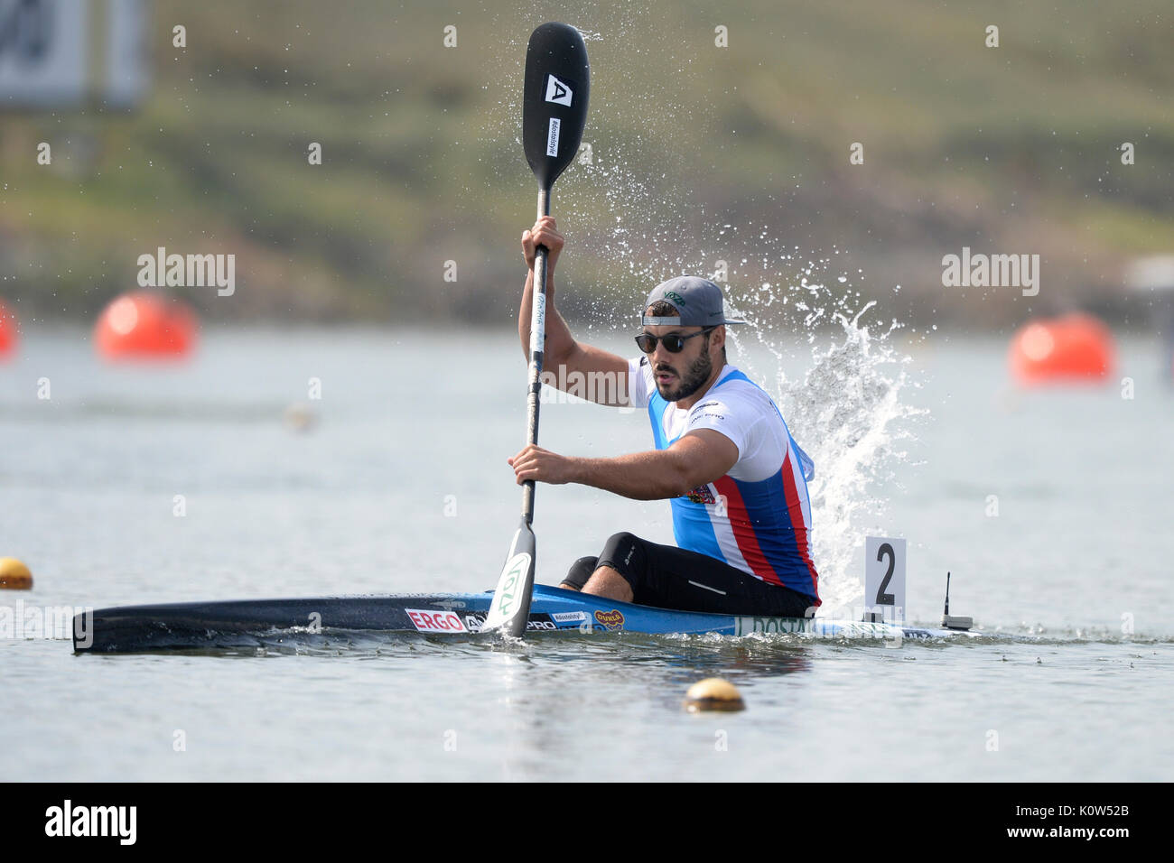 Racice, Tschechische Republik. 25 Aug, 2017. Tschechische Firma Dostal in Aktion während der Icf Canoe Sprint Wm 2017 K 1 Männer 200 m Hitze Rennen in Racice, Tschechische Republik, 25. August 2017. Foto: CTK/Alamy leben Nachrichten Stockfoto