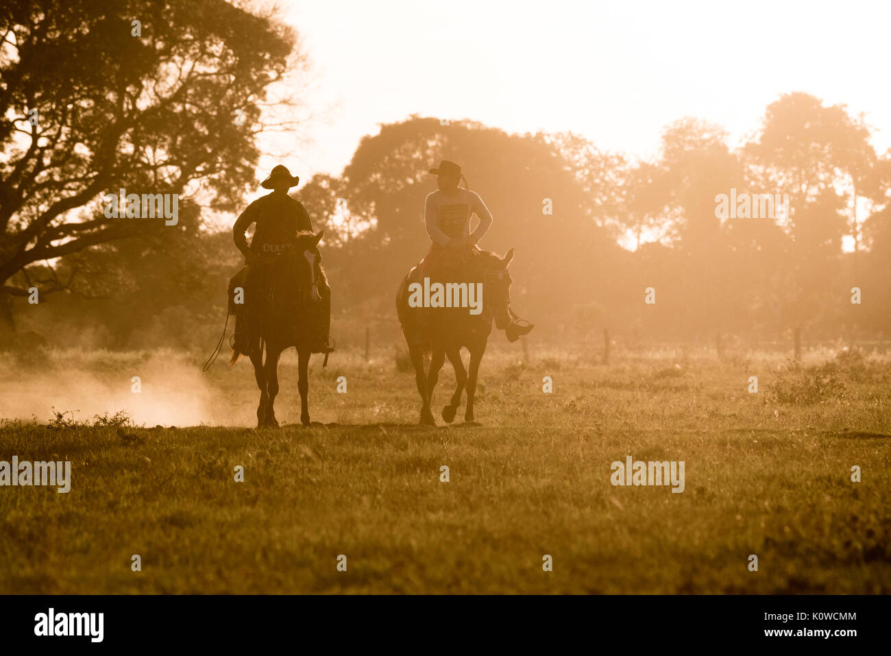 Pantaneiro Cowboys reiten ein Pferd Stockfoto