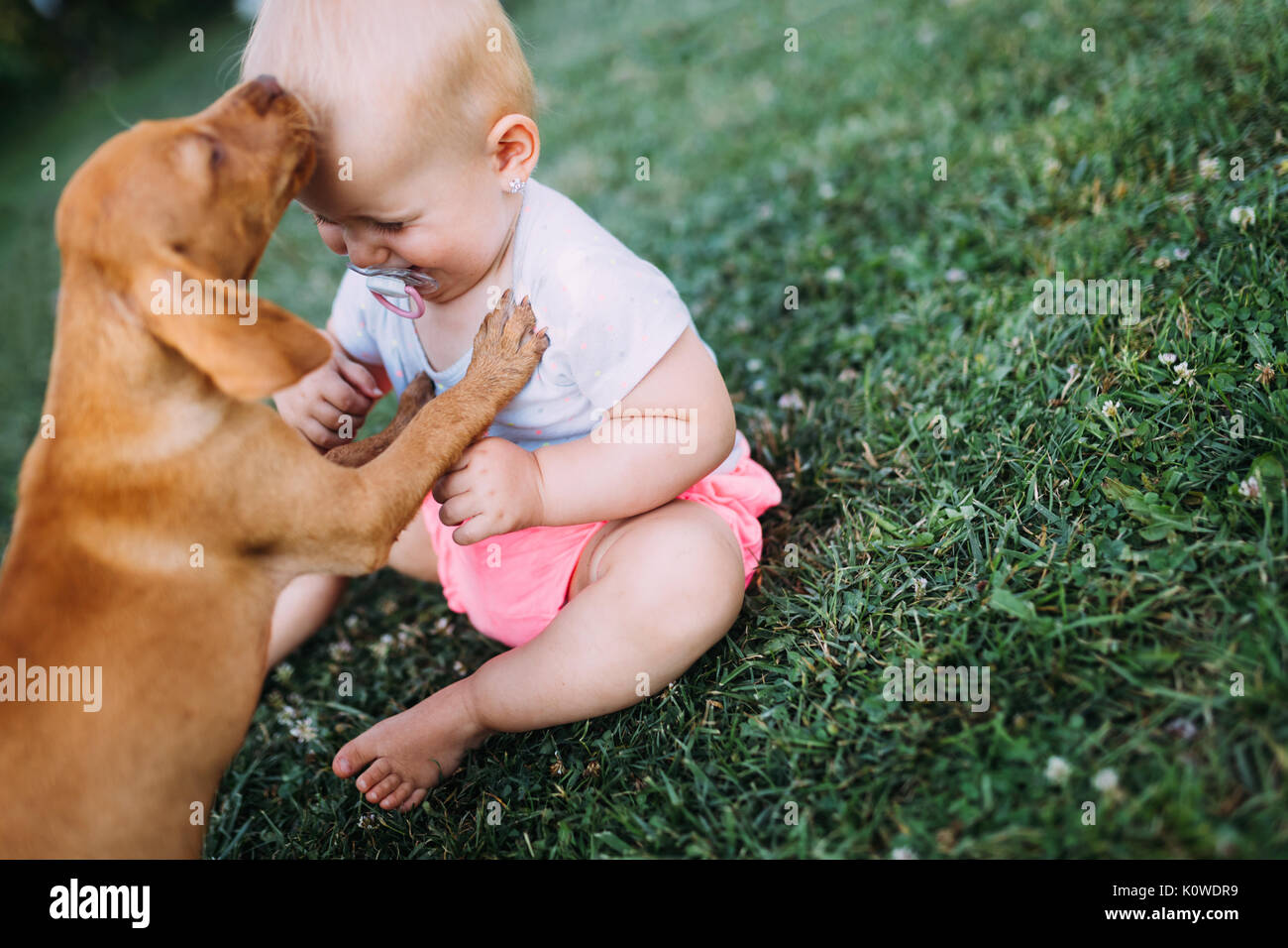 Portrait von niedlichen Baby spielen mit Hund Stockfoto