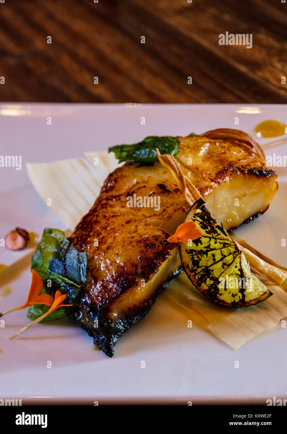 Japanischer Schwarzer Kabeljau Stockfoto