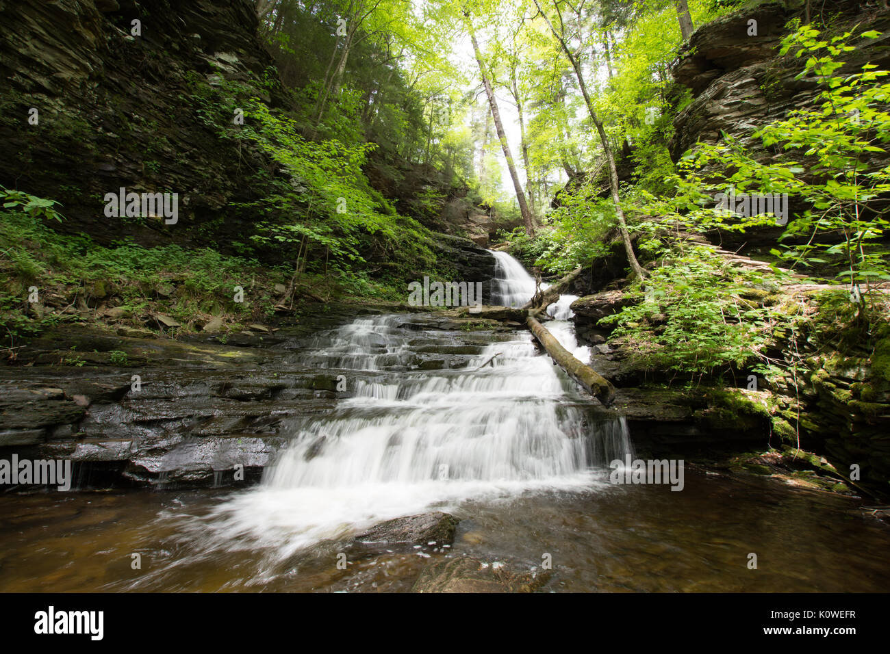 Malerischen Wasserfall in Ricketts Glen State Park in den Poconos in Pennsylvania Stockfoto