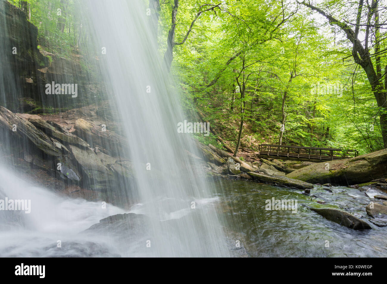 Malerischen Wasserfall in Ricketts Glen State Park in den Poconos in Pennsylvania Stockfoto