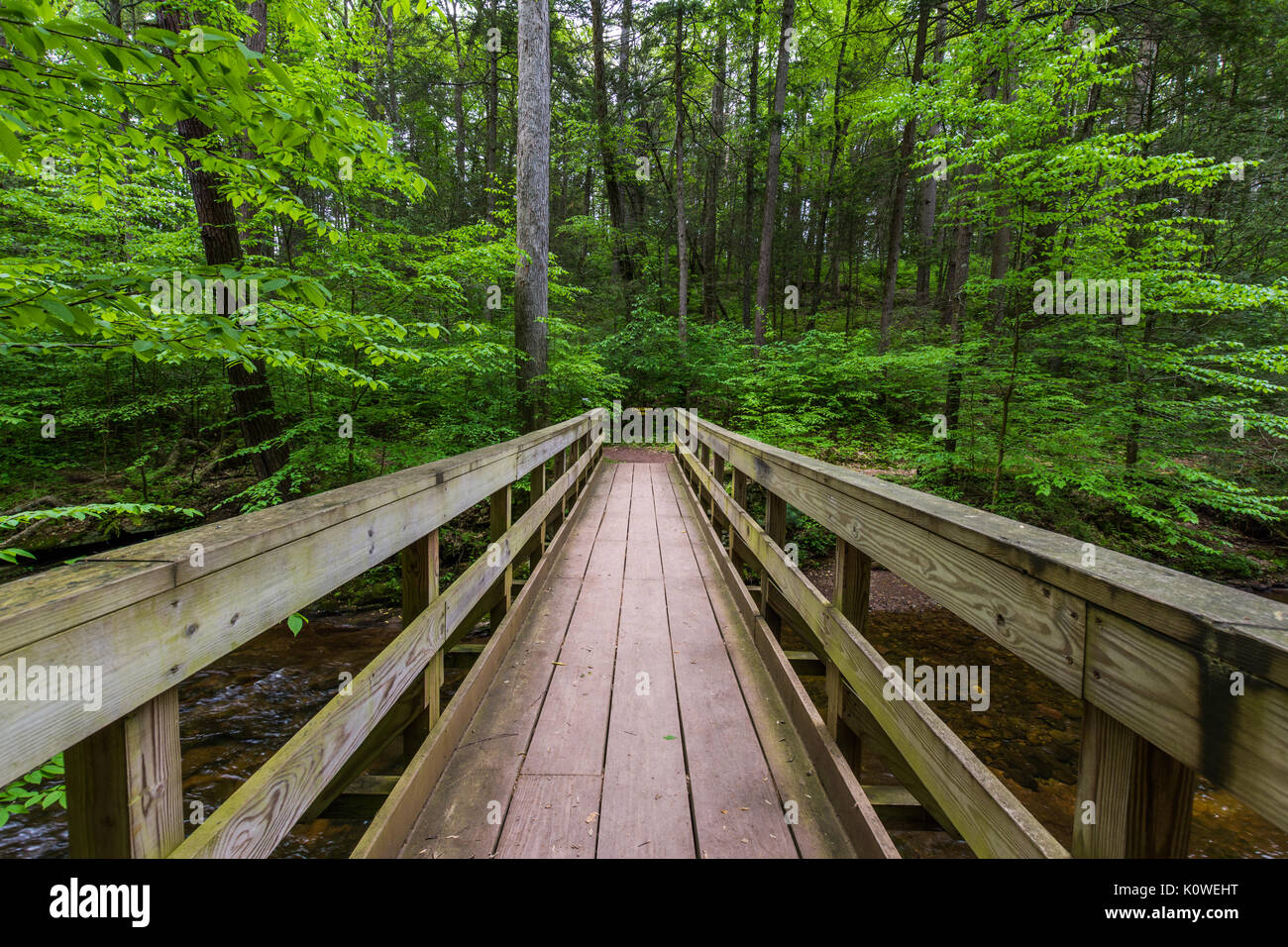 Malerischen Wasserfall in Ricketts Glen State Park in den Poconos in Pennsylvania Stockfoto