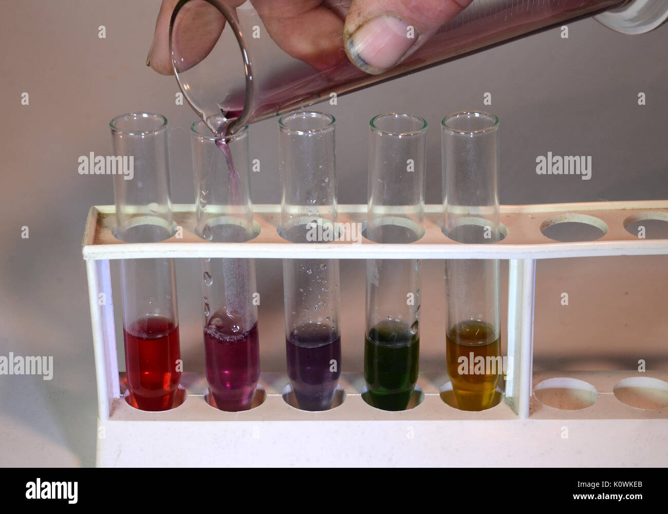 Auszug aus Rotkohl. Es ändert die Farbe, wenn Proben mit unterschiedlichen pH-Grade von sauren, alkalischen hinzugefügt (von links nach rechts) Stockfoto