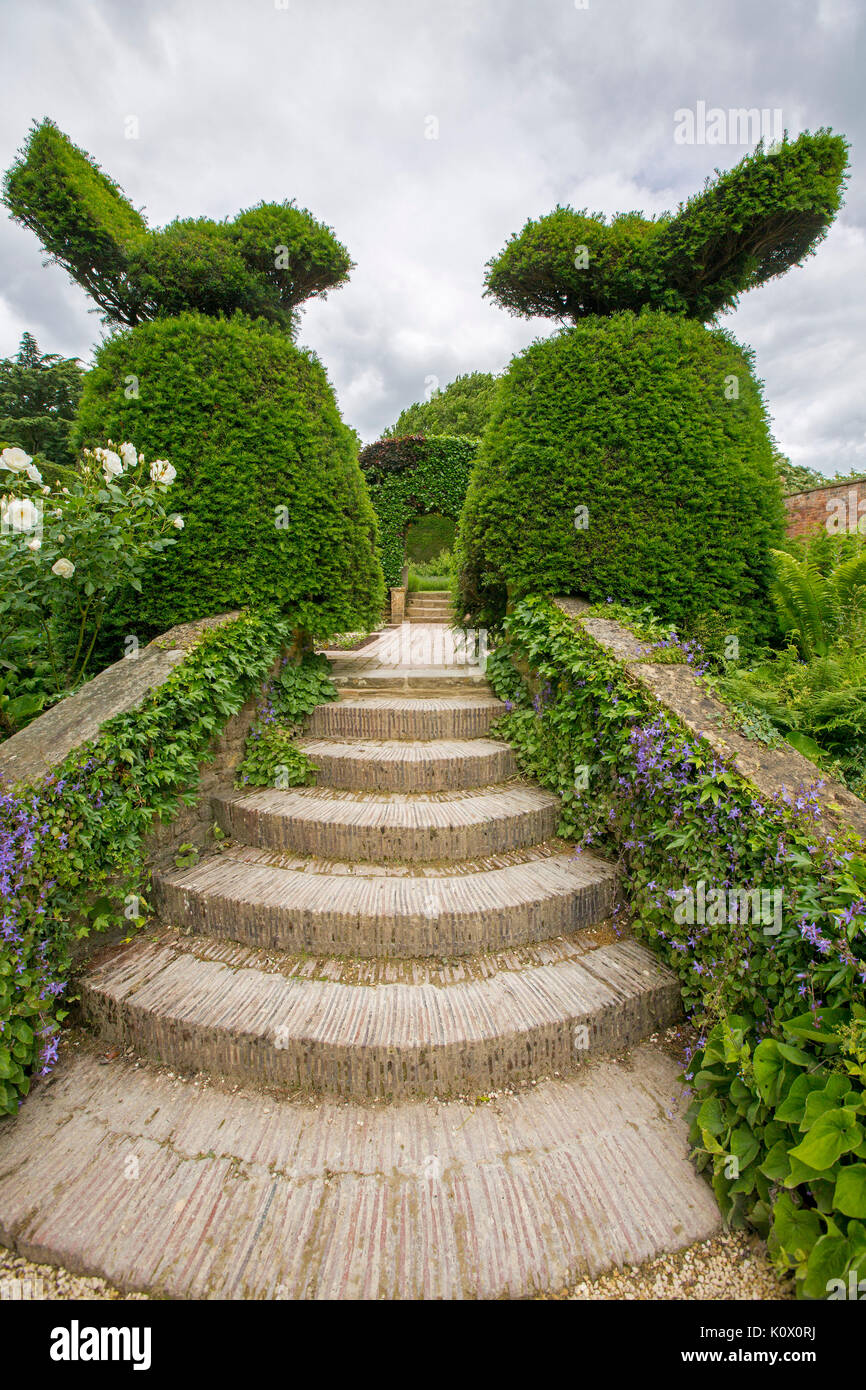 Englischer Garten mit geschwungenen Treppe bis zum formschnitt Eibe Hecken Stockfoto