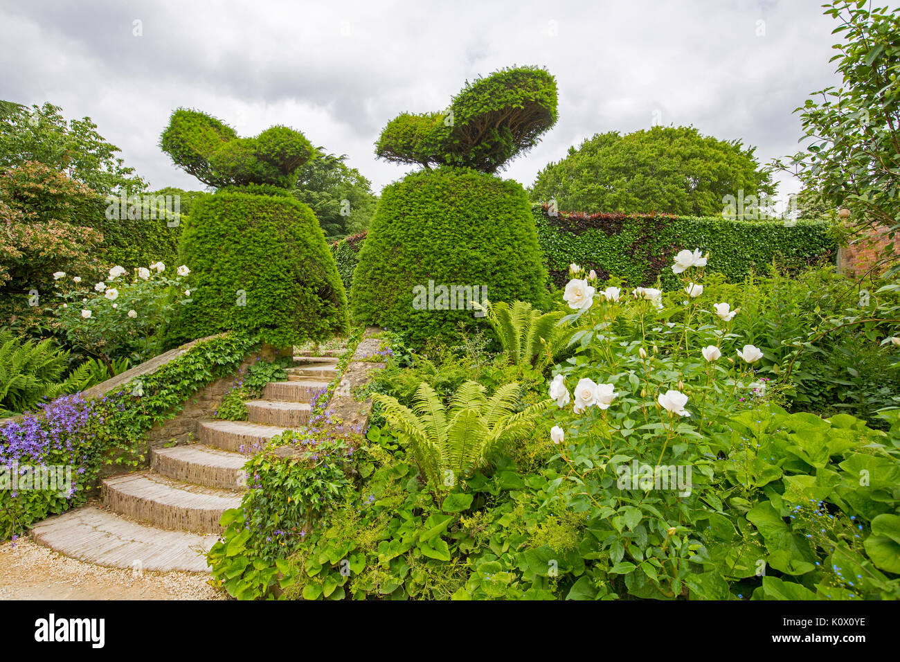 Englischer Garten mit geschwungenen Treppe bis zum formschnitt Eibe Hecken Stockfoto