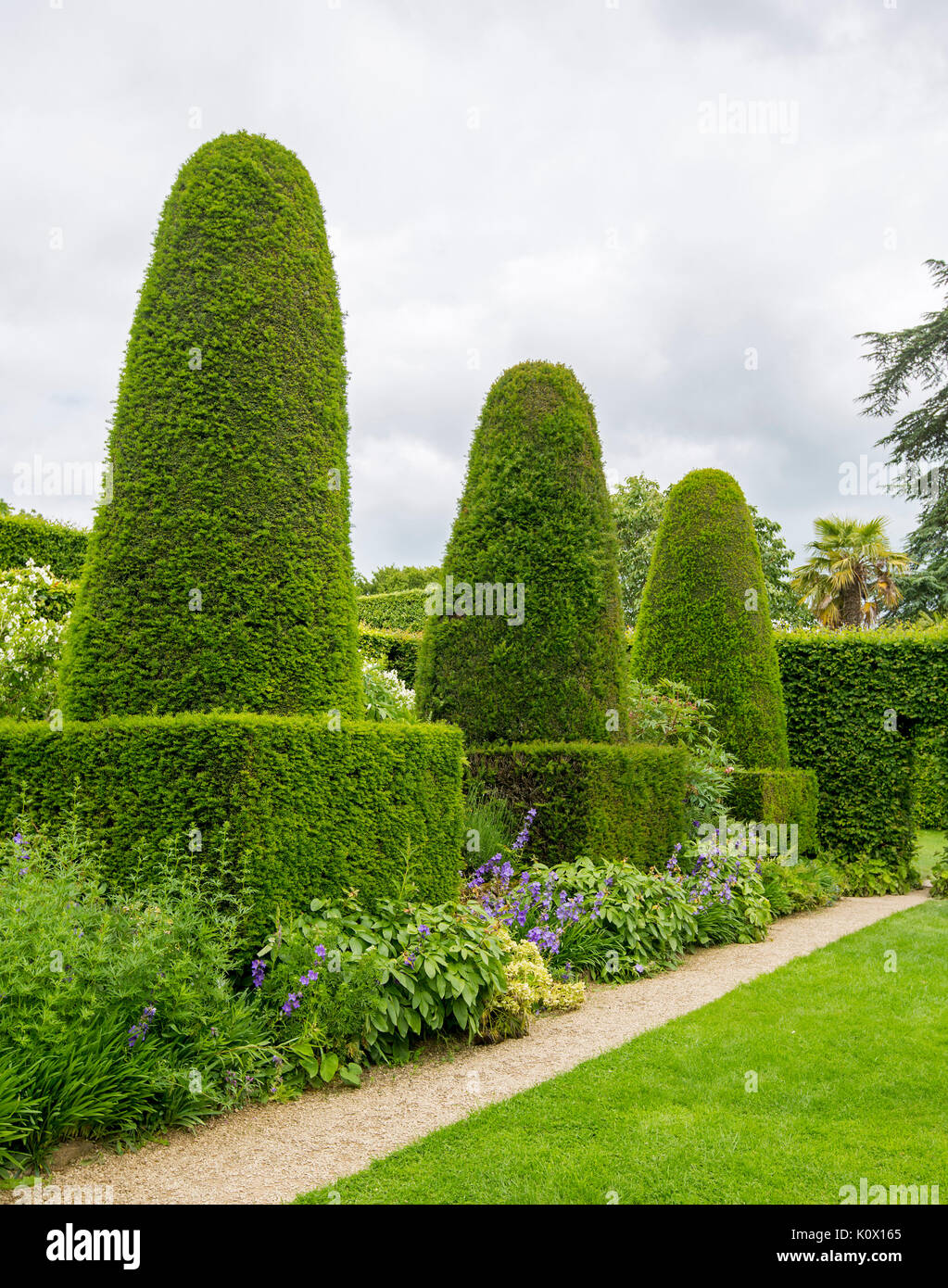 Englischer Garten, bei der die Zeile der Hohe kegelförmige Formgehölze Hecken der Eibe neben smaragdgrünen Rasen und gepflegte Wege Stockfoto